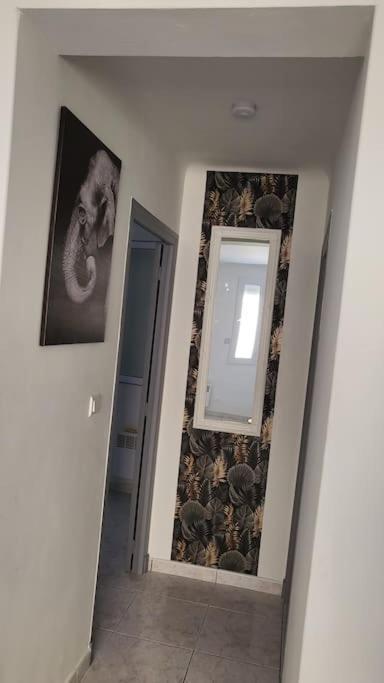 Appartement Chaleureux, Proche De La Gare بيربينيو المظهر الخارجي الصورة