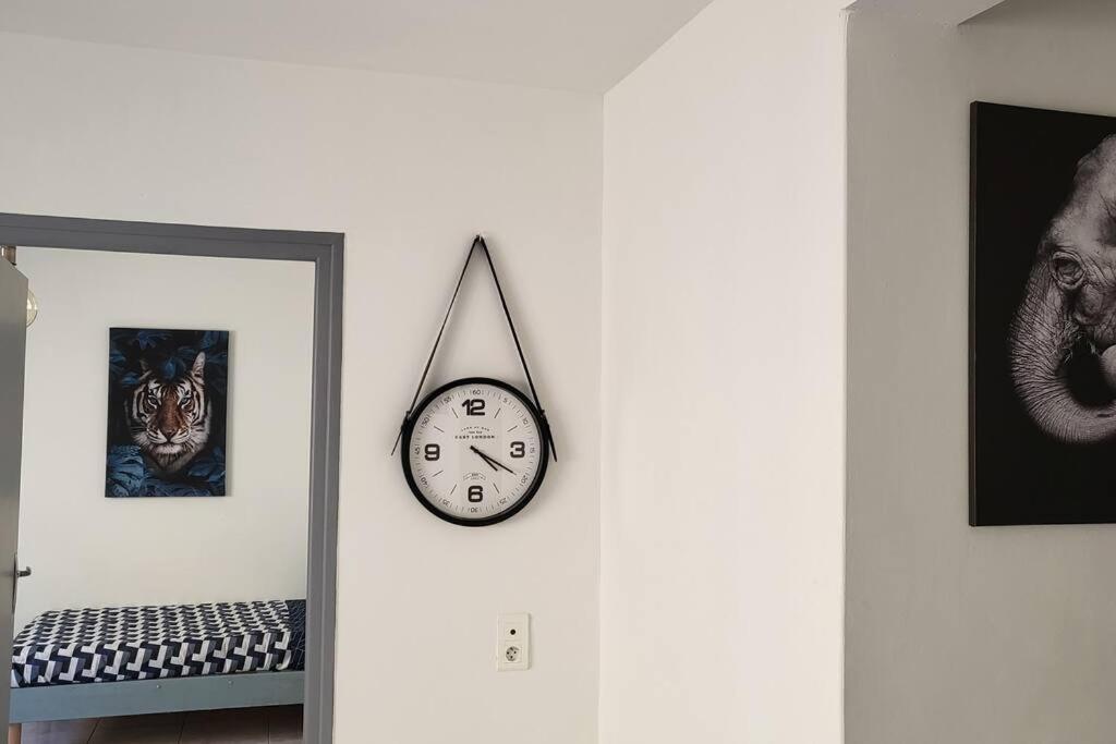 Appartement Chaleureux, Proche De La Gare بيربينيو المظهر الخارجي الصورة